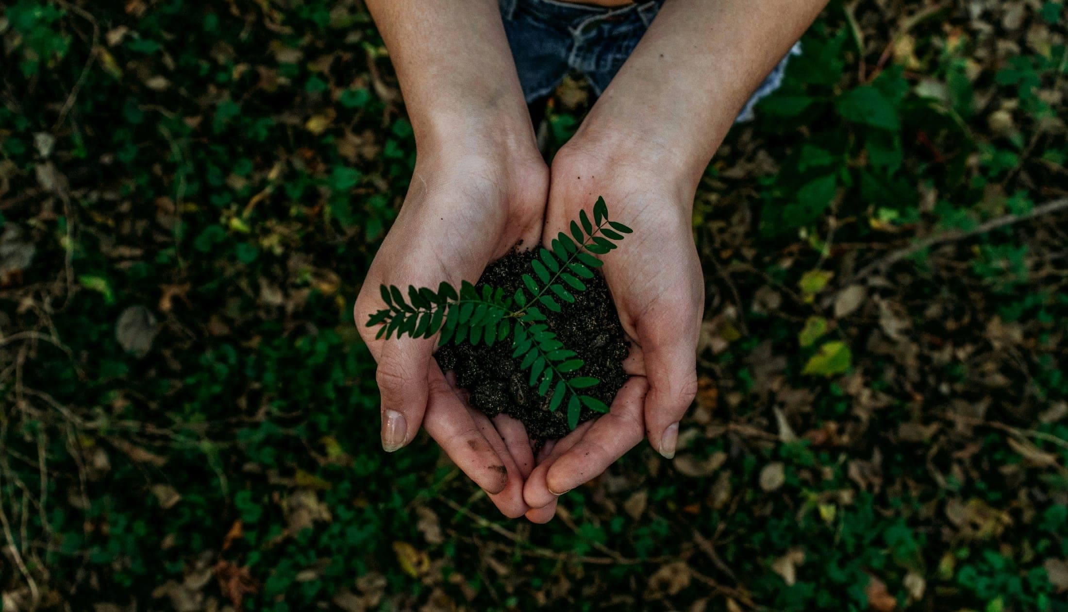 Sustainable manufacturing